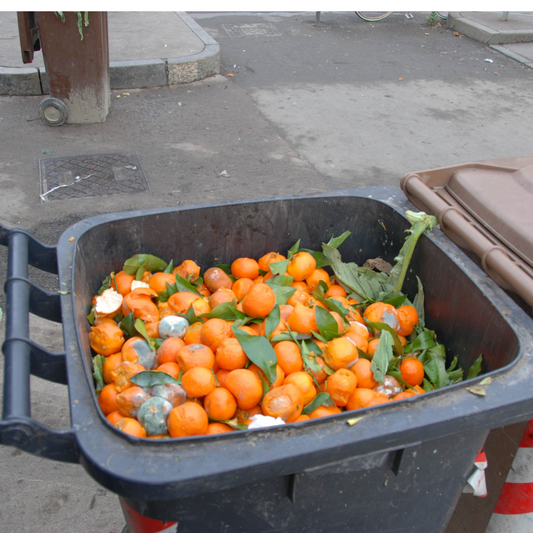 Sustainable Practices To Reduce Food Waste